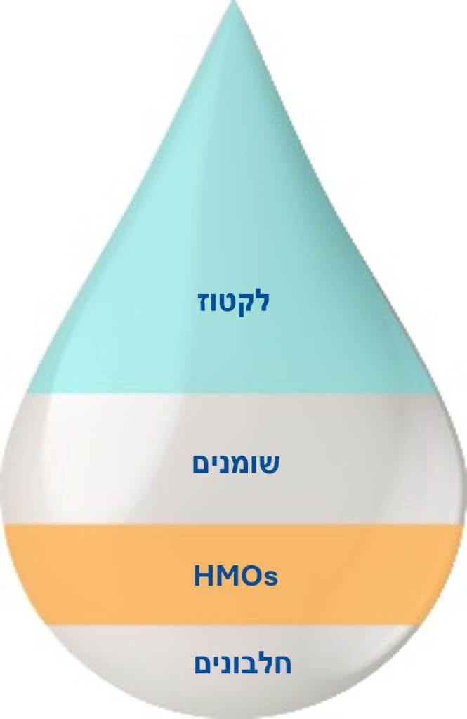 הכול על HMO בפורמולות לתינוקות