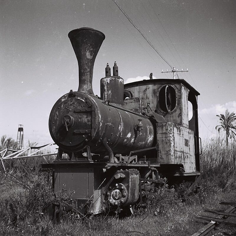 בלאדי סירופ נגד שיעול