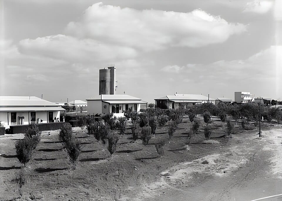 דוקטור נפתלי ז'יוואגו