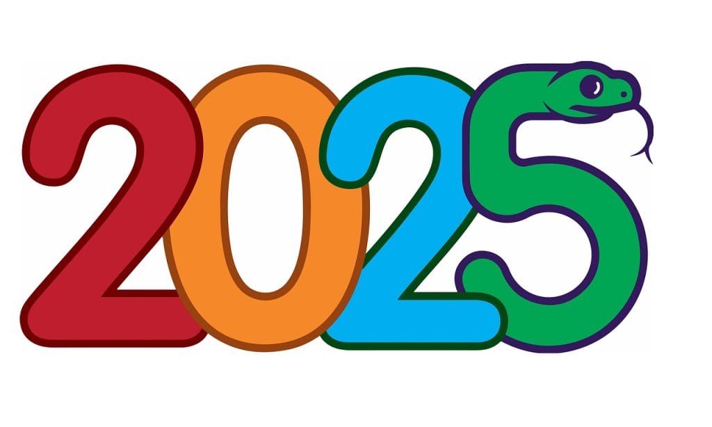 סיכום שנת 2025 באתר של דר' אפי